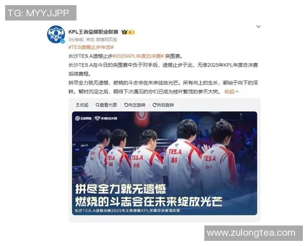 电竞新闻王者荣耀赛事分析TES战队排名第九的原因与经验分享